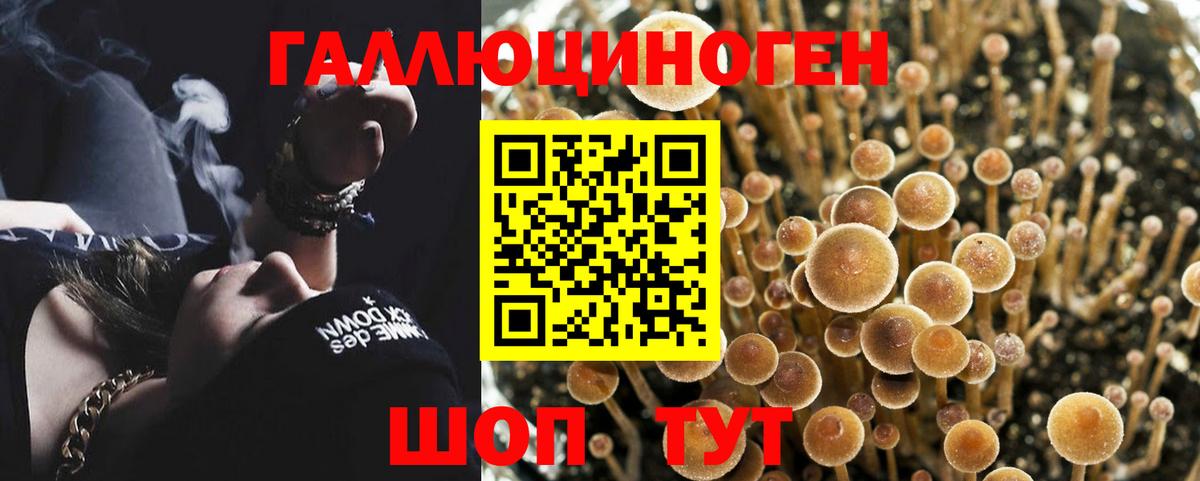 Псилоцибиновые грибы мухоморы Уссурийск